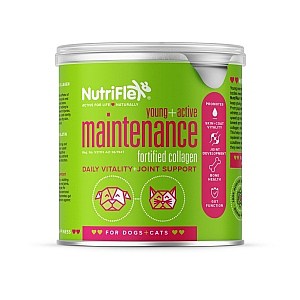 Young and Active Everyday Maintenance Collagen for Pets
