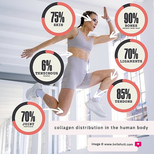 Pure Collagen and Its Prolific Distribution in The Human Body
